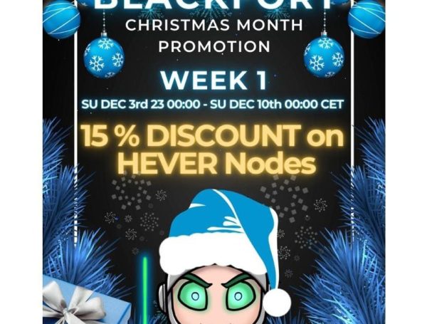 Promo de Noël / Christmas Offer